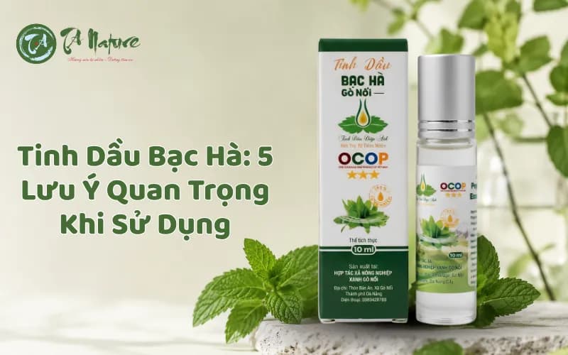 Tinh Dầu Bạc Hà: 5 Lưu Ý Quan Trọng Khi Sử Dụng Đúng Cách