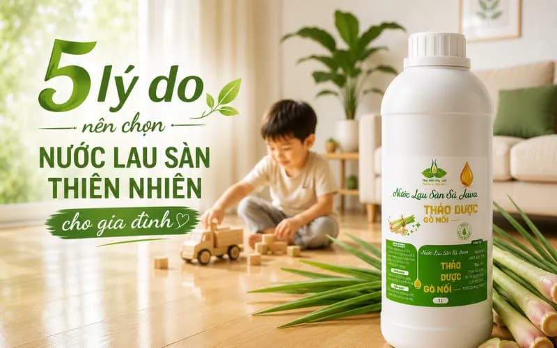 5 Lý Do Nên Chọn Nước Lau Sàn Thiên Nhiên Cho Gia Đình Hiện Đại