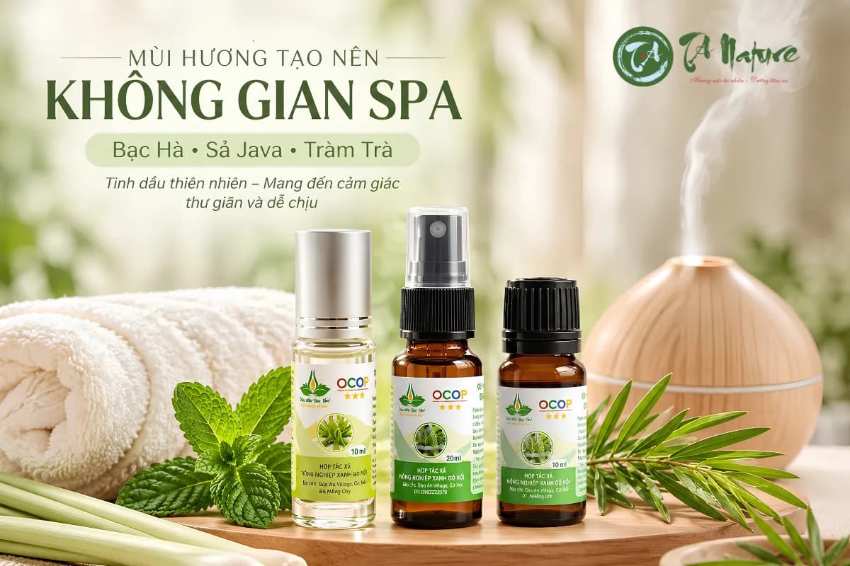 TINH DẦU DÙNG TRONG SPA: 3 MÙI HƯƠNG ĐƯỢC ƯA CHUỘNG