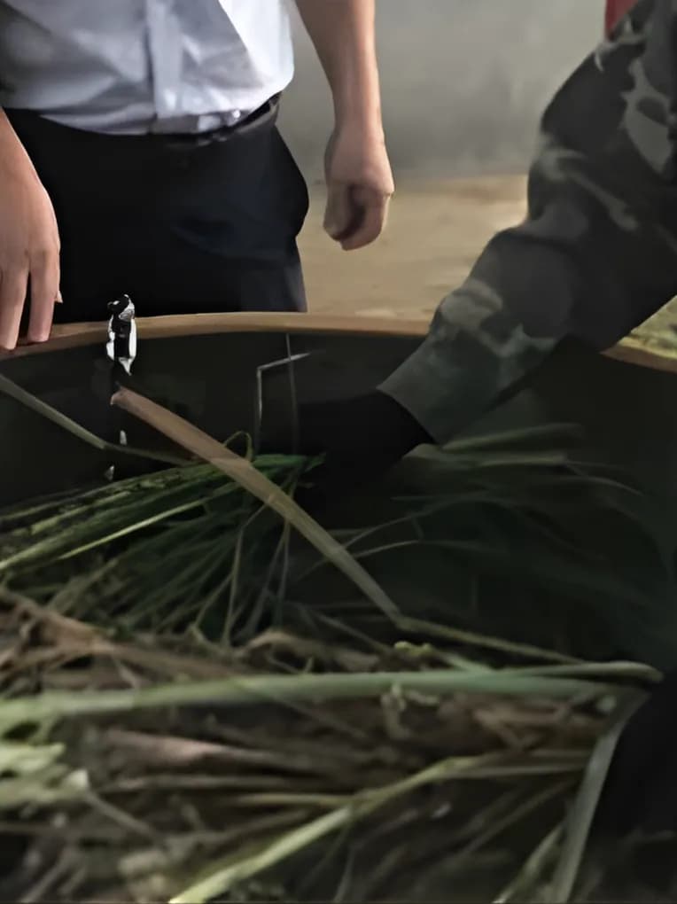 Làm thủ công, kiểm soát từng bước