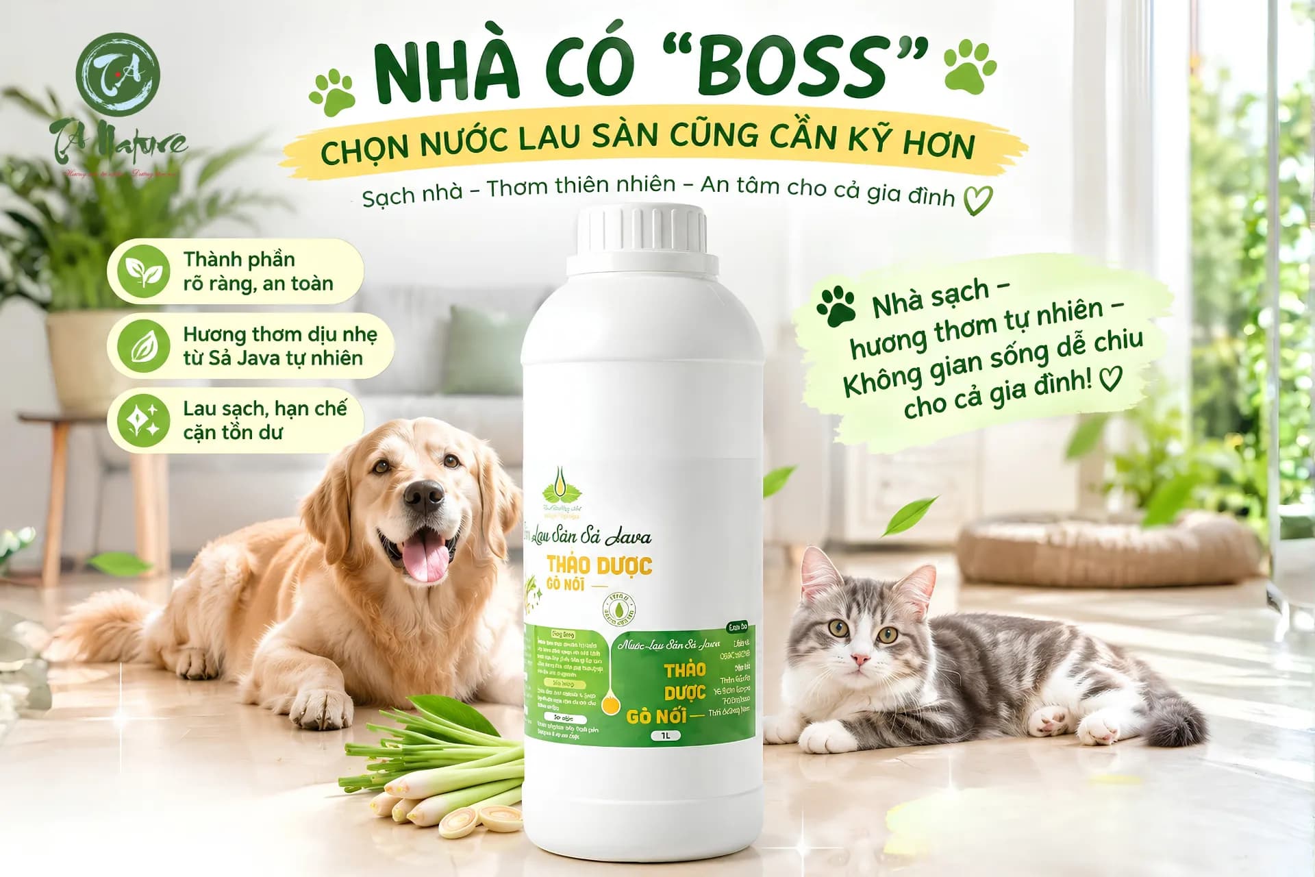 Nhà Có Nuôi Chó Mèo Nên Chọn Nước Lau Sàn Loại Nào? 