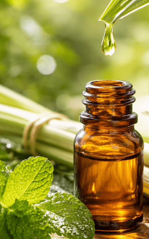 TA Nature product and nature detail image