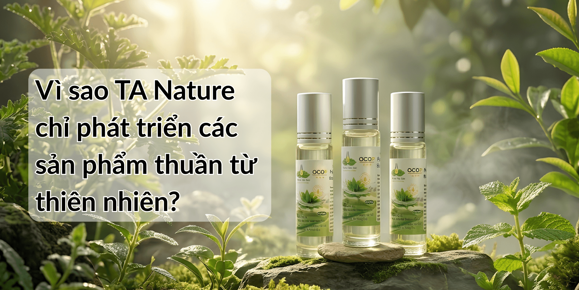 Vì sao TA Nature chỉ phát triển các sản phẩm thuần từ thiên nhiên?